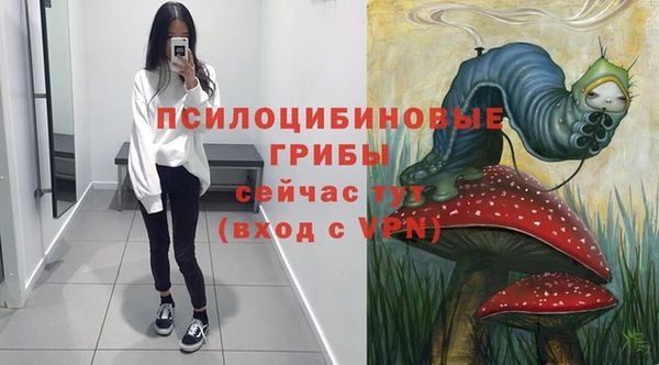 ALPHA PVP Куйбышев