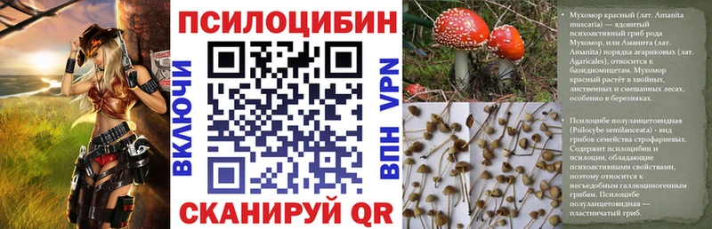 Галлюциногенные грибы прущие грибы  Спасск 